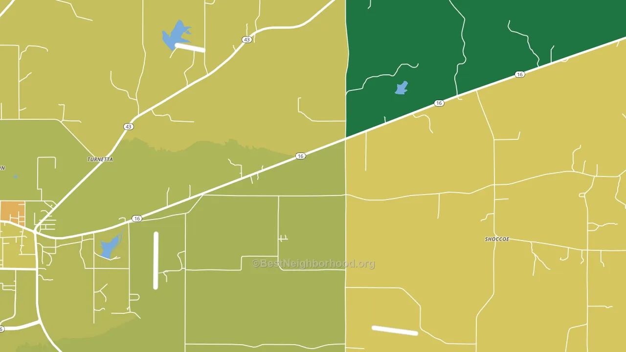 Stokes, MS block-group voter-turnout map