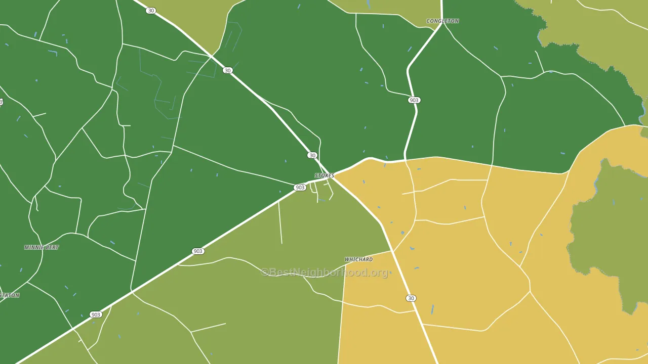 Stokes, NC block-group voter-turnout map