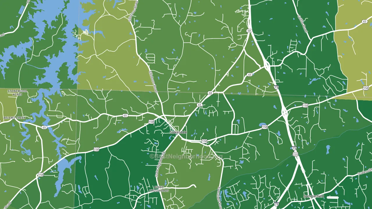 Stokesdale, NC block-group voter-turnout map