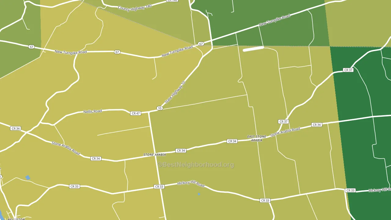 Stone Arabia, NY block-group voter-turnout map