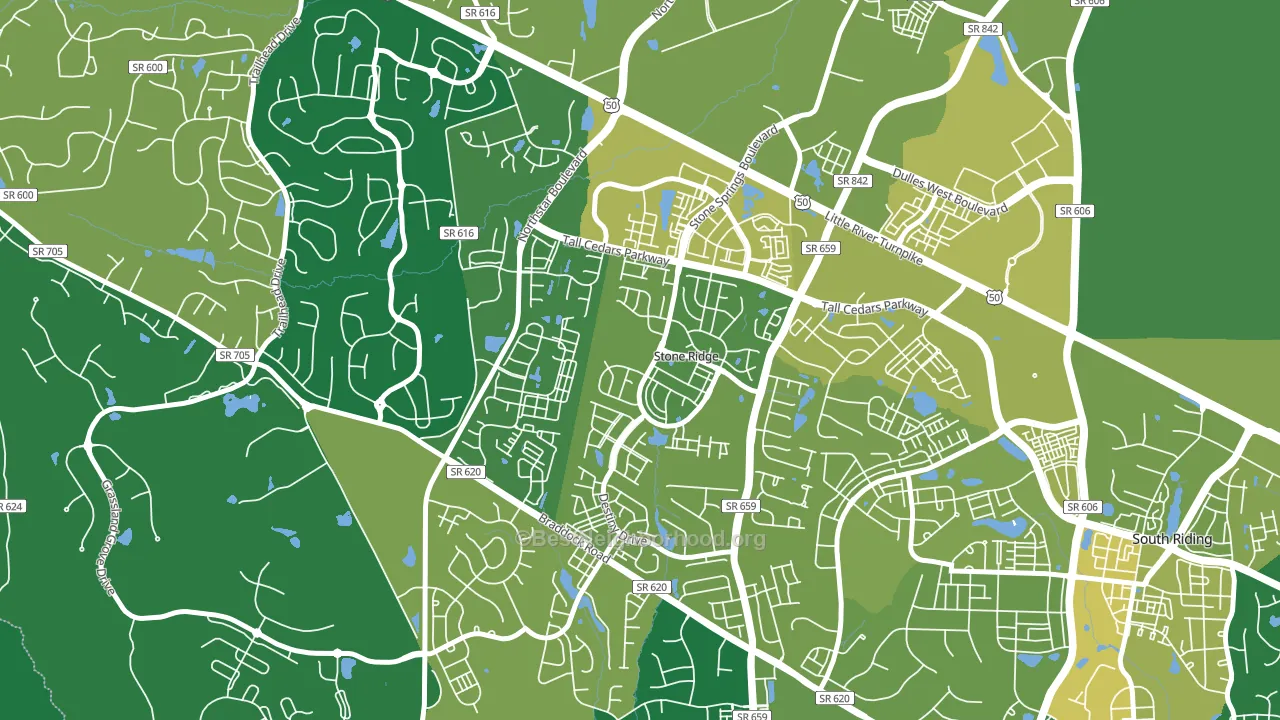 Stone Ridge, VA block-group voter-turnout map