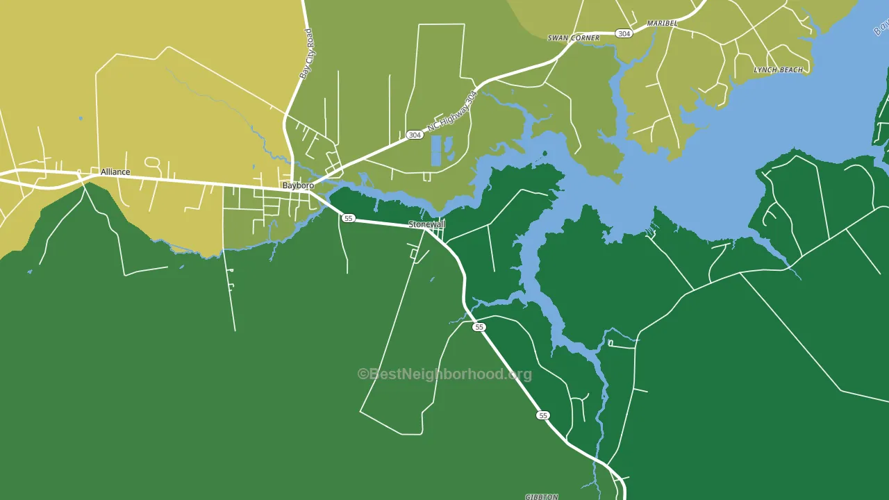 Stonewall, NC block-group voter-turnout map