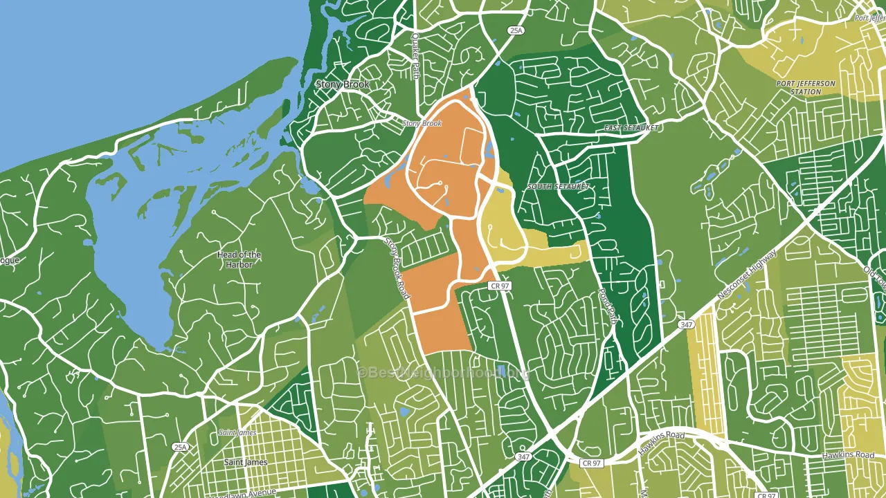 Stony Brook, NY block-group voter-turnout map