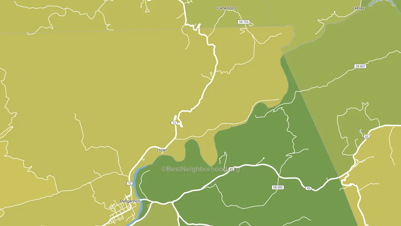 Stony, VA block-group voter-turnout map