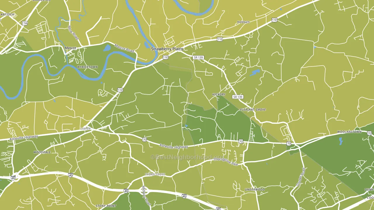 Strawberry Plains, TN block-group voter-turnout map