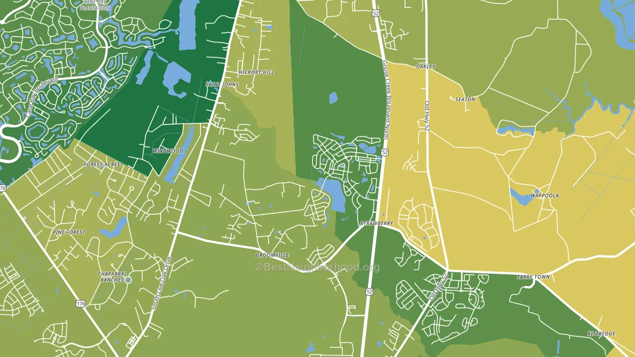 Strawberry, SC block-group voter-turnout map