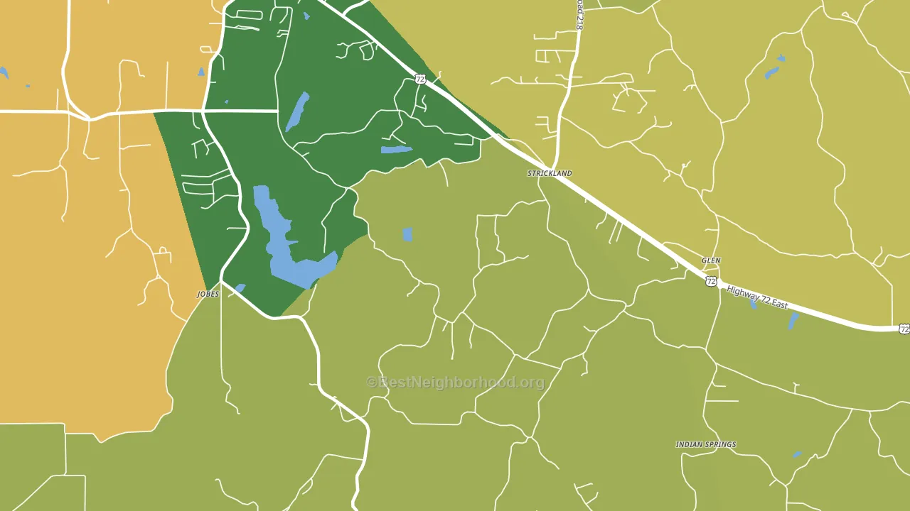Strickland, MS block-group voter-turnout map