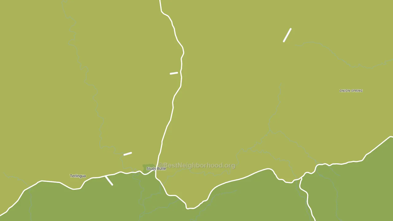 Study Butte, TX block-group voter-turnout map