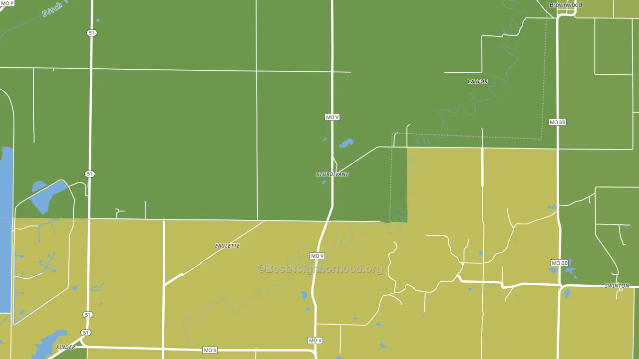 Sturdivant, MO block-group voter-turnout map