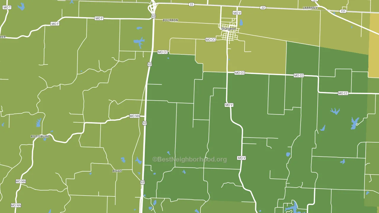 Sturgeon, MO block-group voter-turnout map