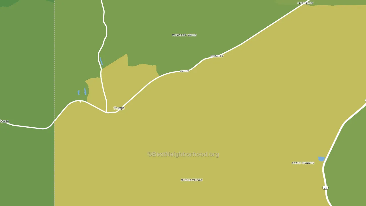 Sturgis, MS block-group voter-turnout map