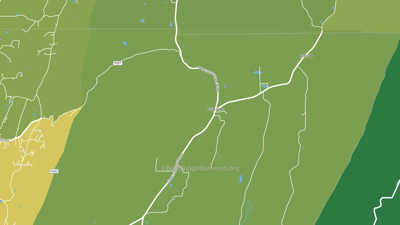 Subligna, GA block-group voter-turnout map