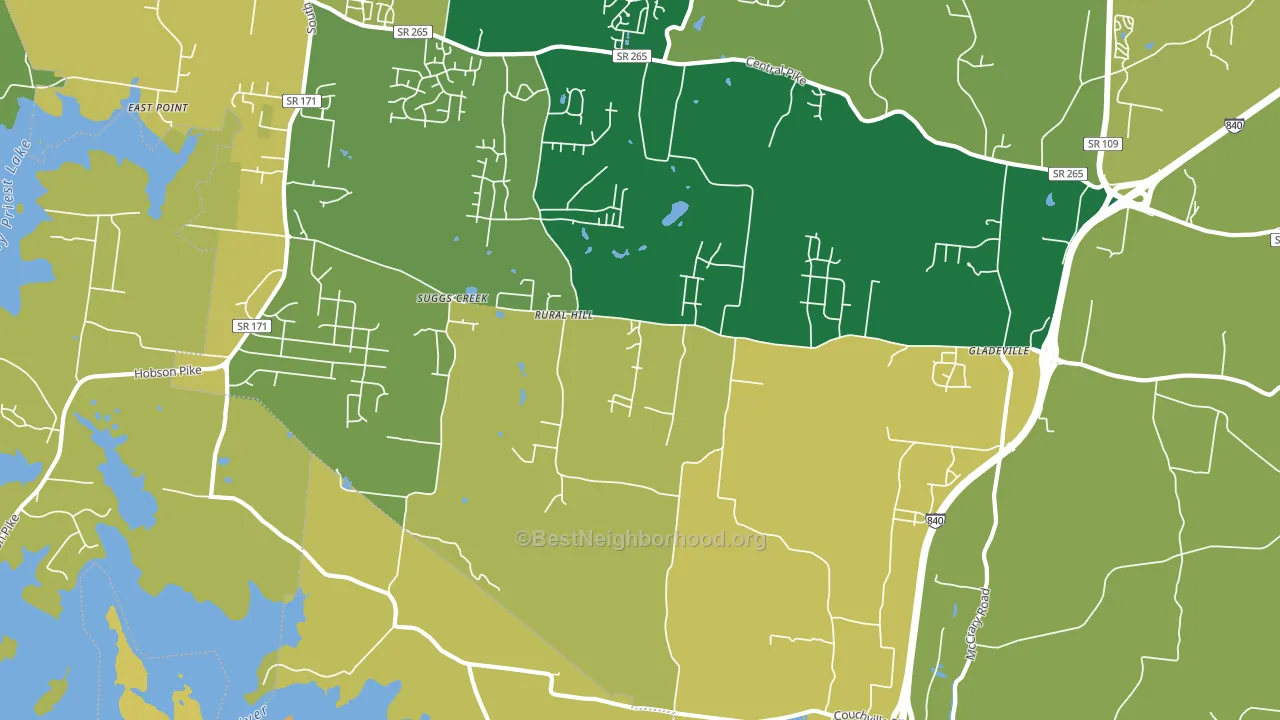 Suggs Creek, TN block-group voter-turnout map