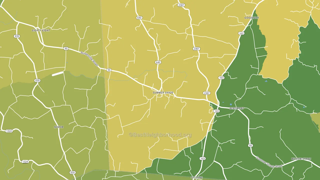 Summer Shade, KY block-group voter-turnout map