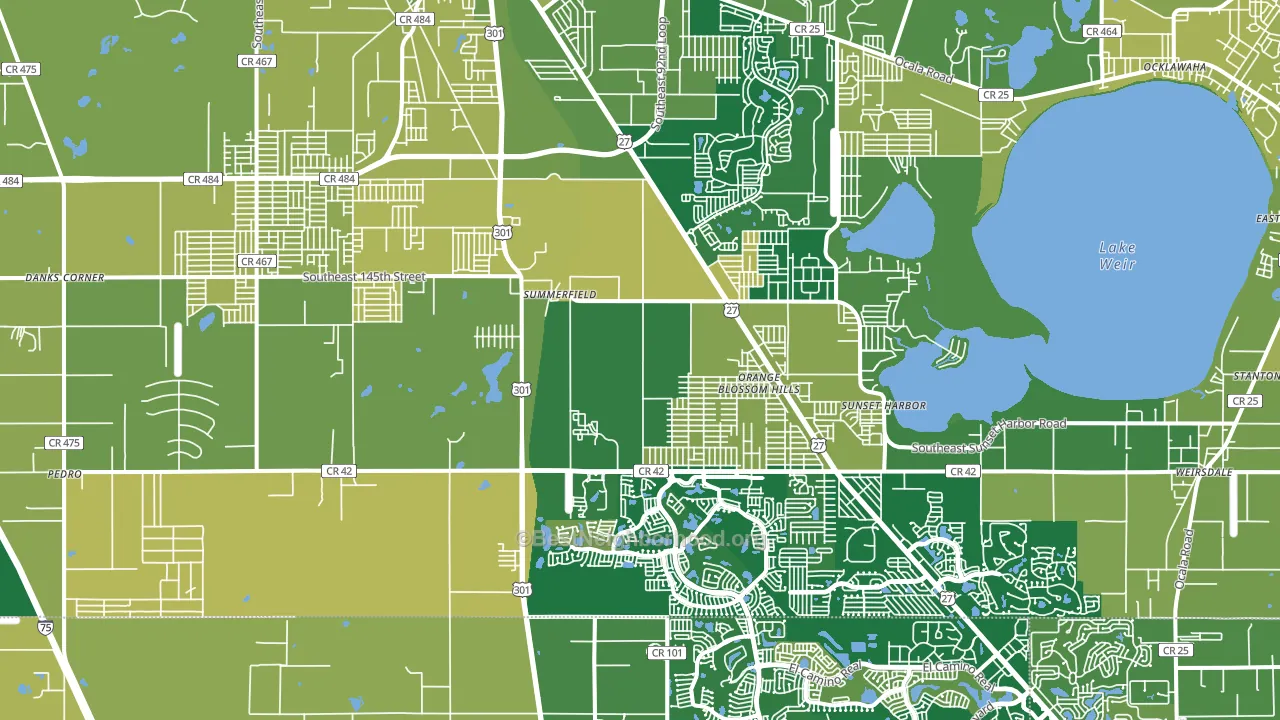 Summerfield, FL block-group voter-turnout map