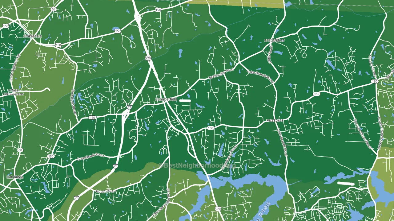 Summerfield, NC block-group voter-turnout map