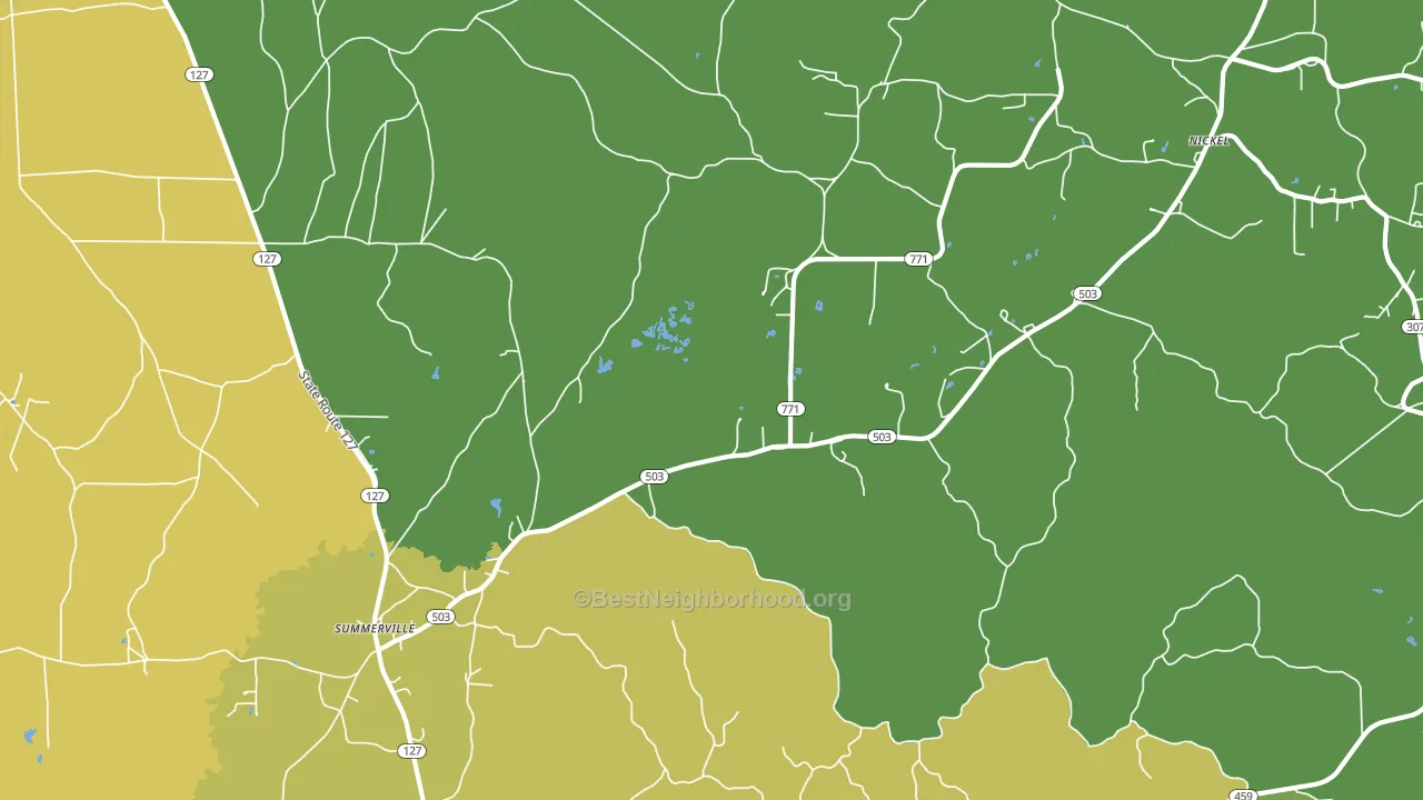 Summerville, LA block-group voter-turnout map