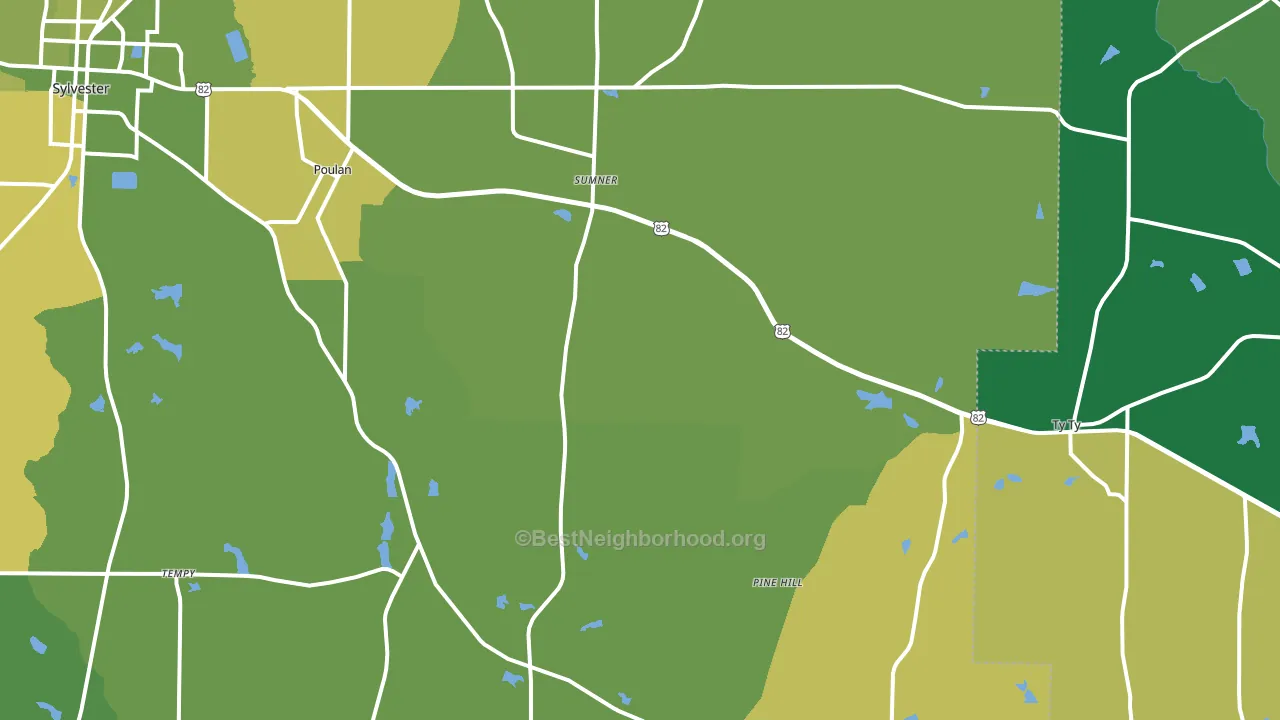 Sumner, GA block-group voter-turnout map