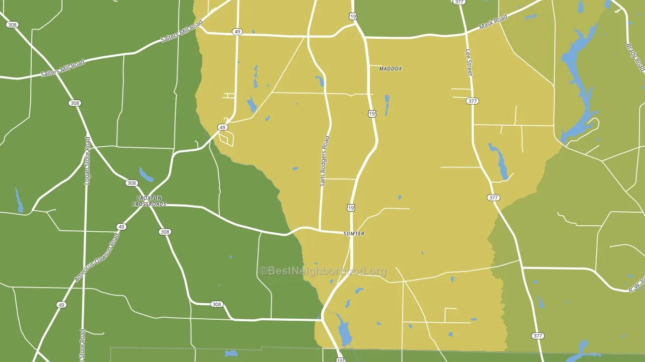 Sumter, GA block-group voter-turnout map