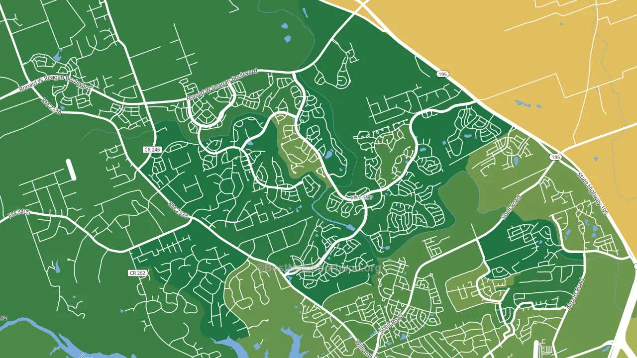 Sun City, Georgetown, TX block-group voter-turnout map