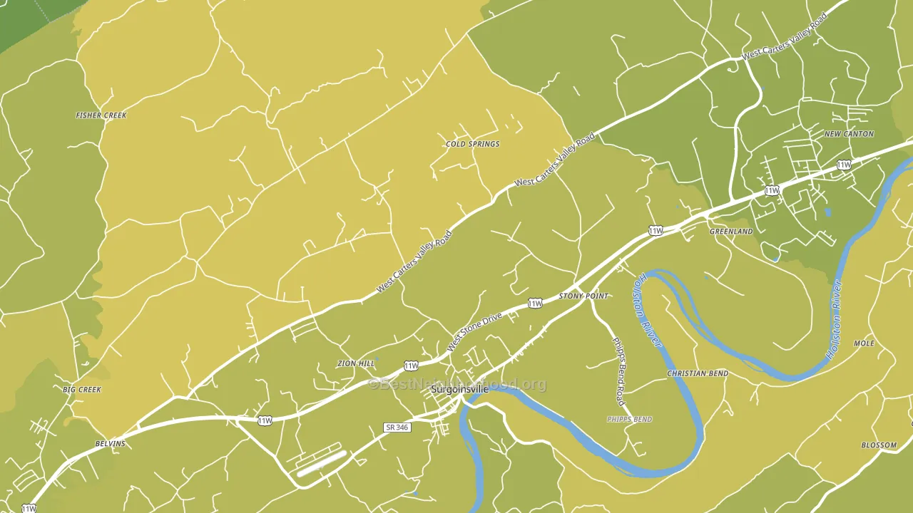 Surgoinsville, TN block-group voter-turnout map