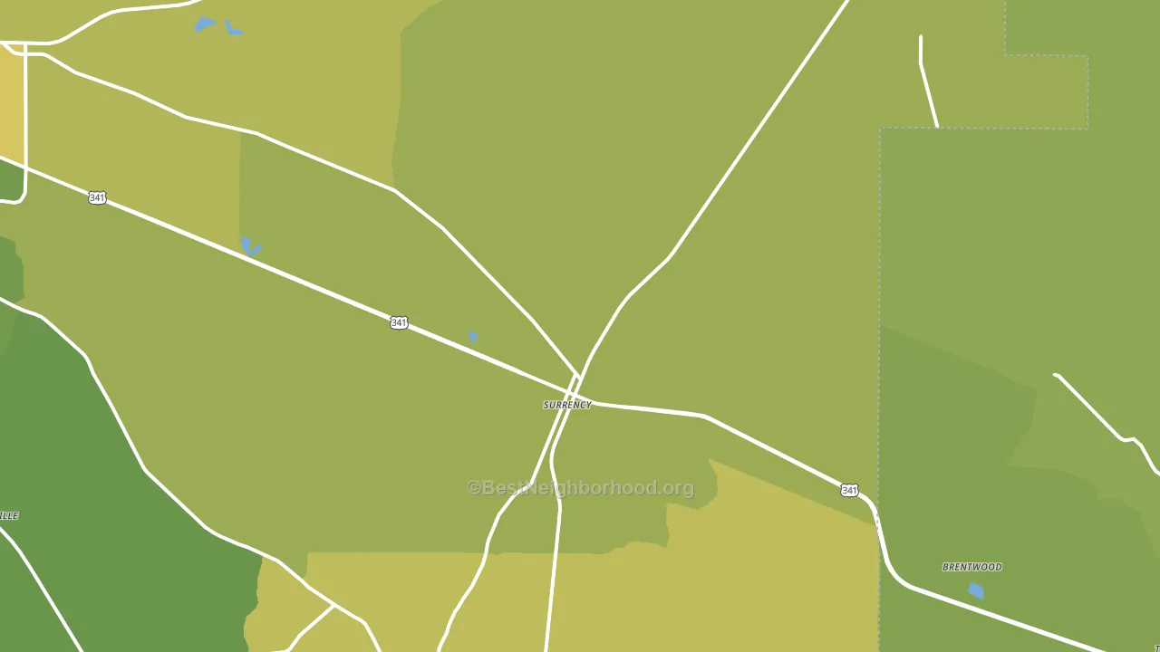 Surrency, GA block-group voter-turnout map