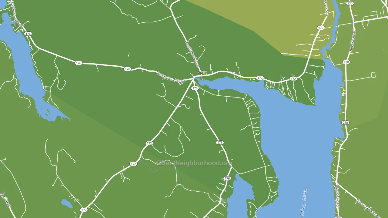 Surry, ME block-group voter-turnout map
