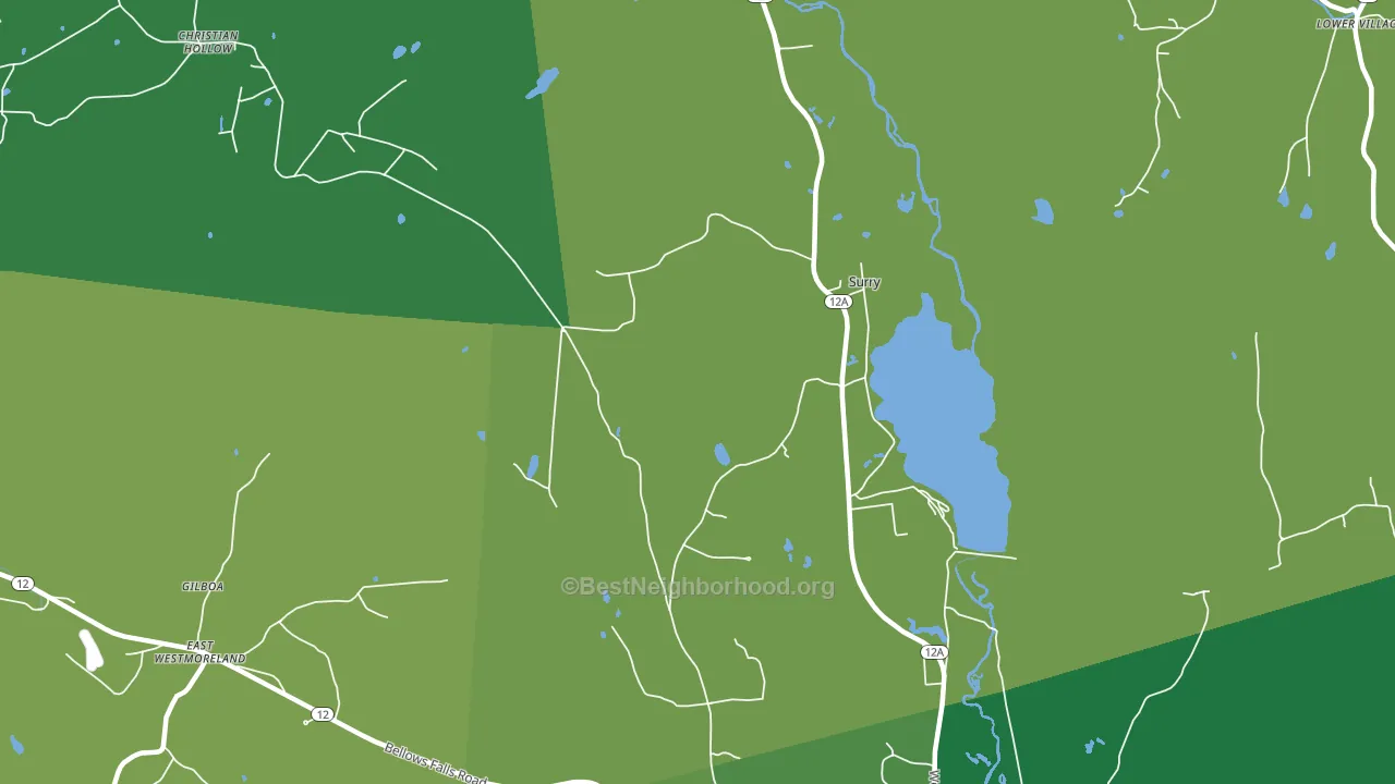 Surry, NH block-group voter-turnout map