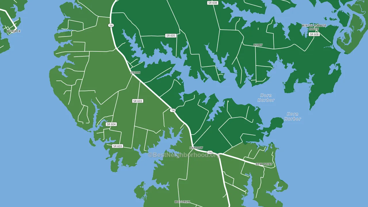 Susan, VA block-group voter-turnout map