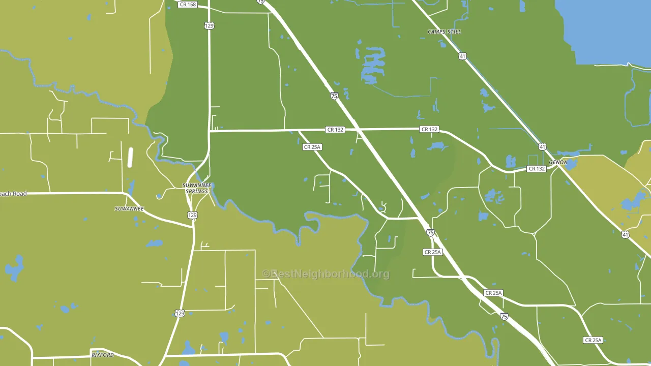 Suwannee Springs, FL block-group voter-turnout map