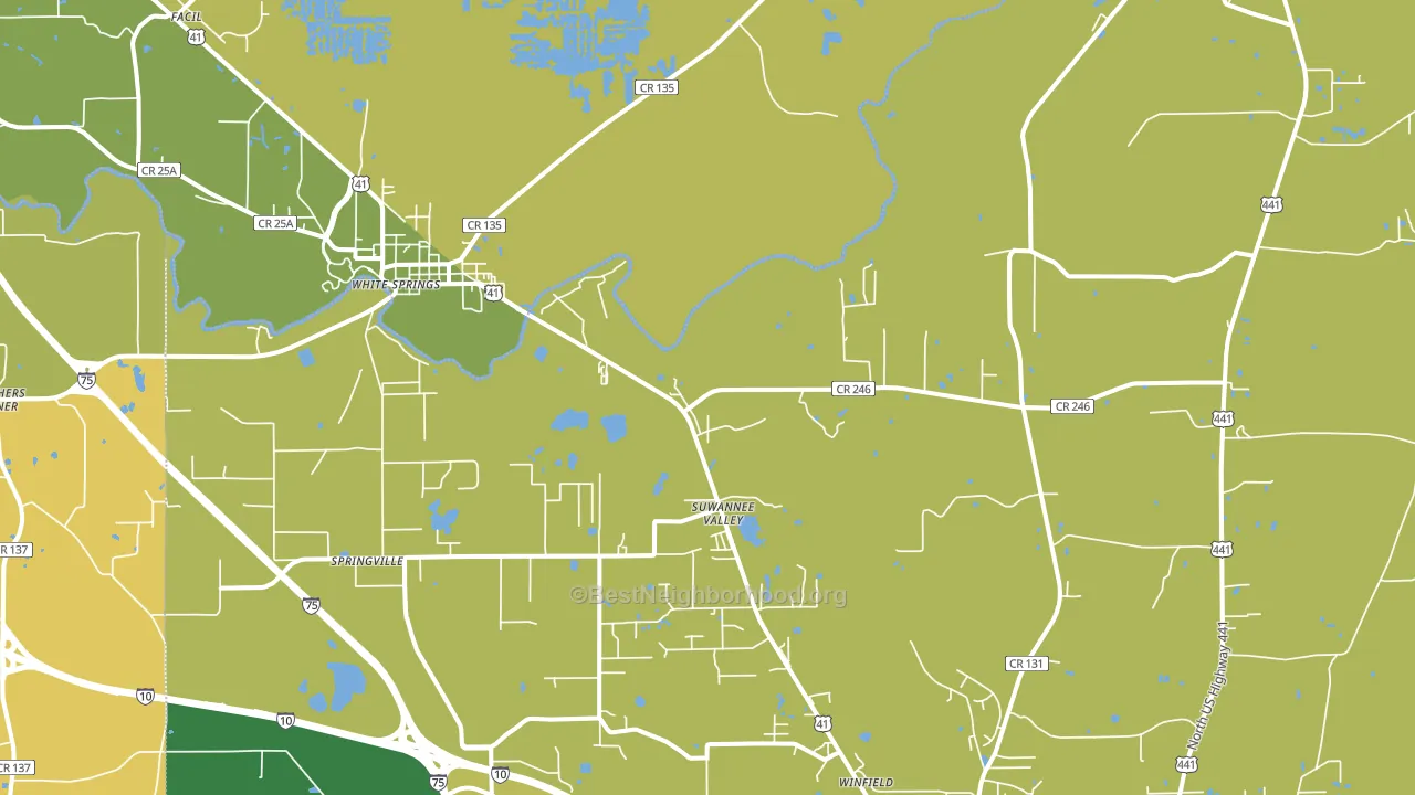 Suwannee Valley, FL block-group voter-turnout map