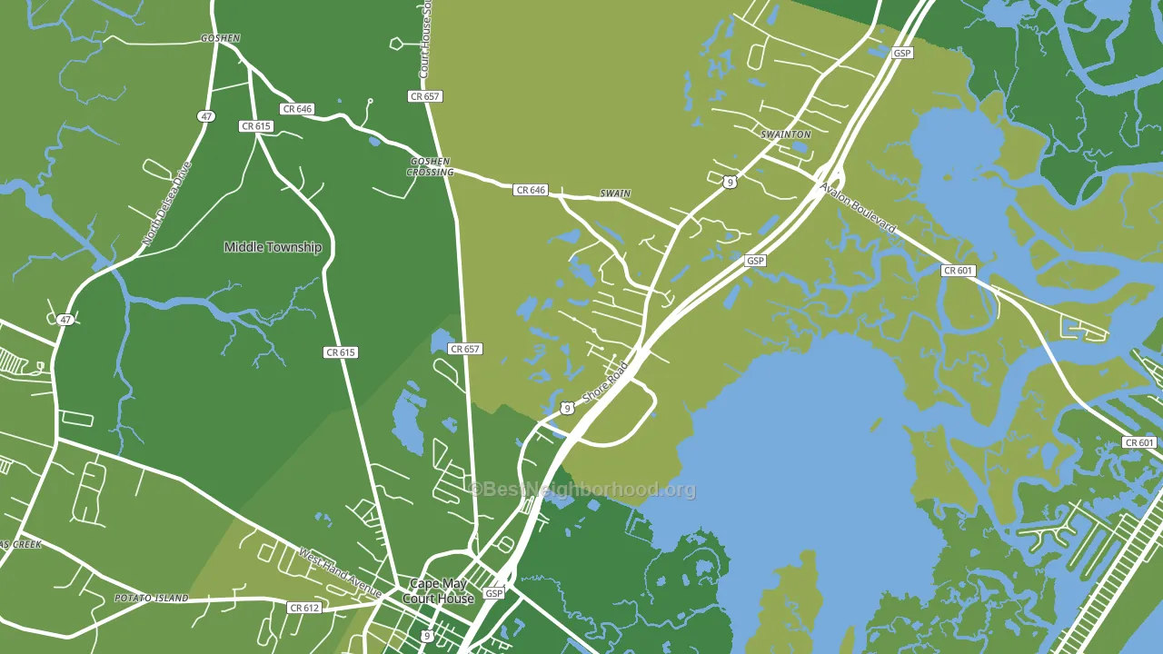 Swainton, NJ block-group voter-turnout map