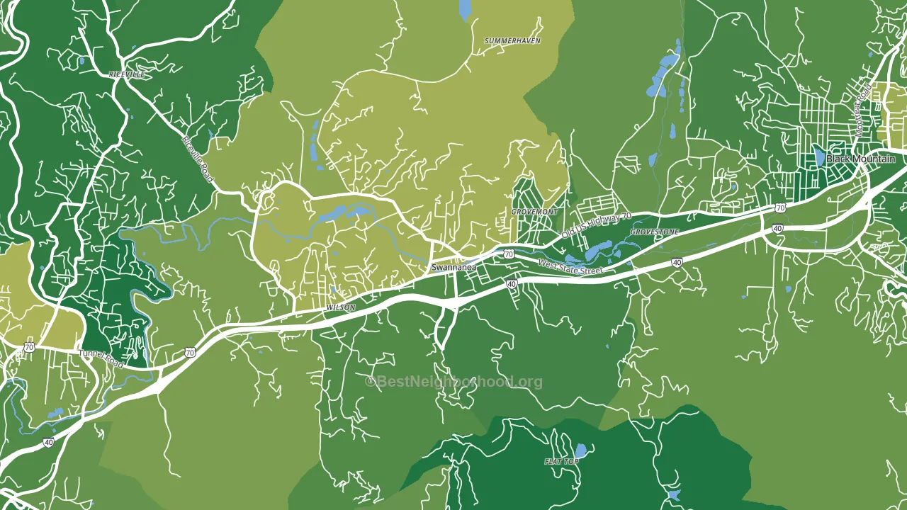 Swannanoa, NC block-group voter-turnout map