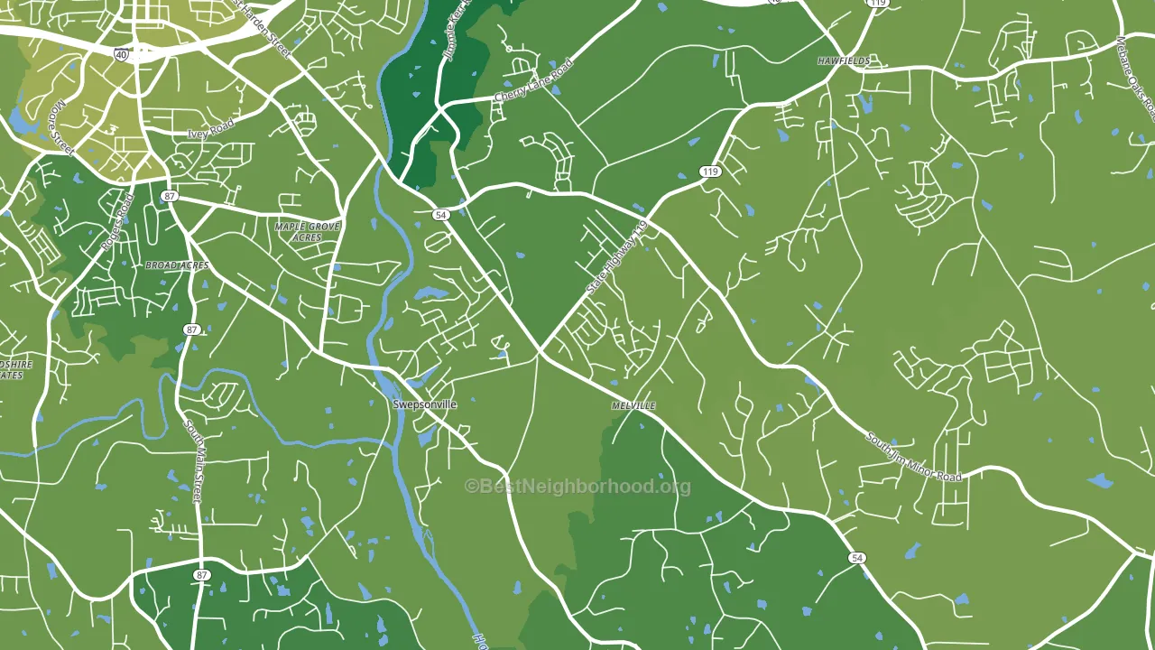 Swepsonville, NC block-group voter-turnout map