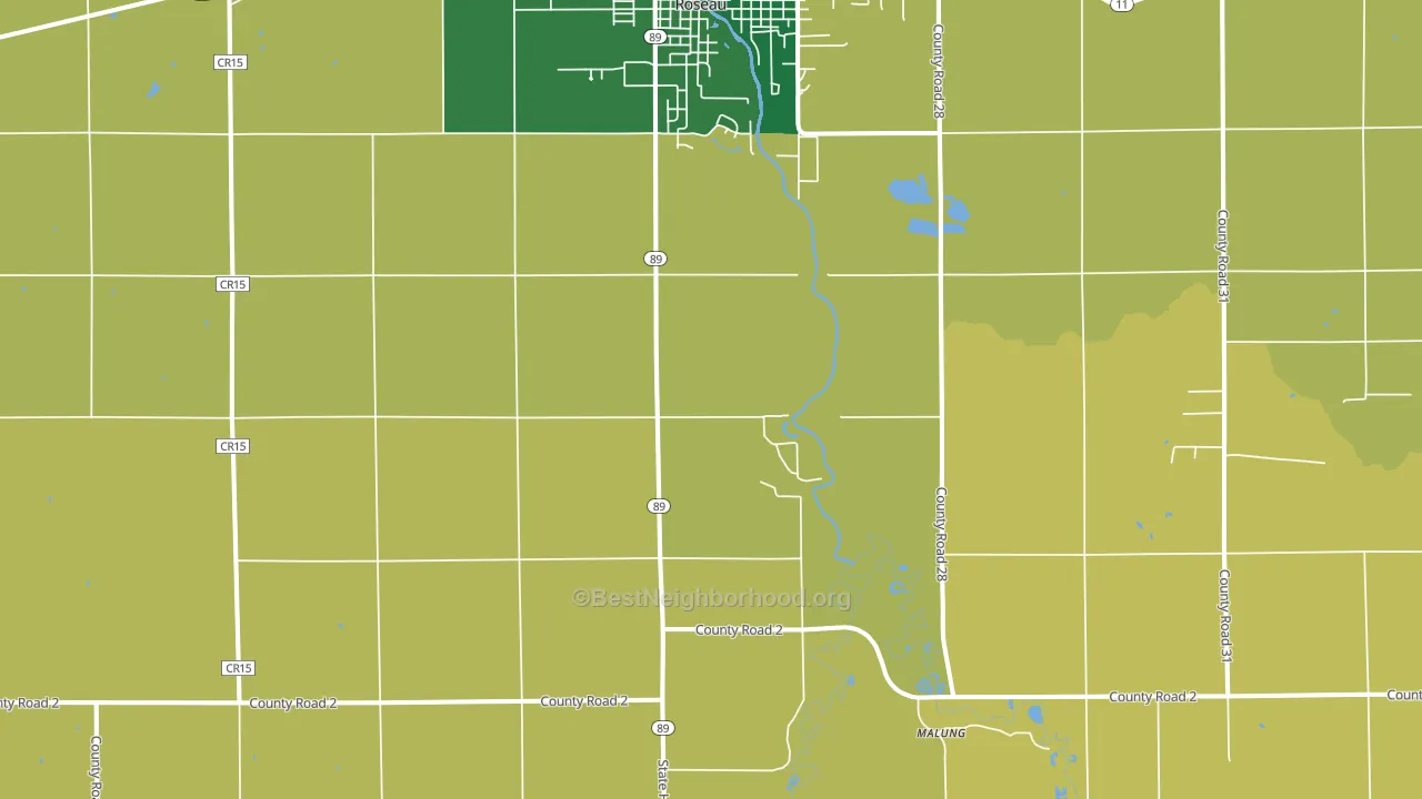 Swift, MN block-group voter-turnout map