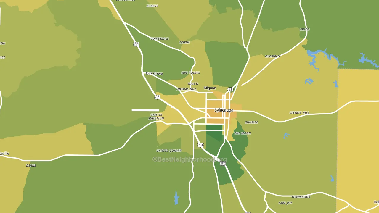 Sylacauga, AL block-group voter-turnout map