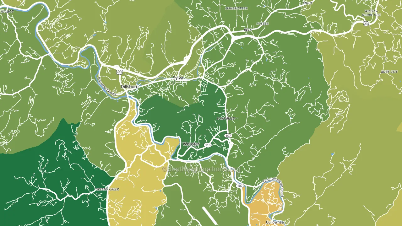 Sylva, NC block-group voter-turnout map