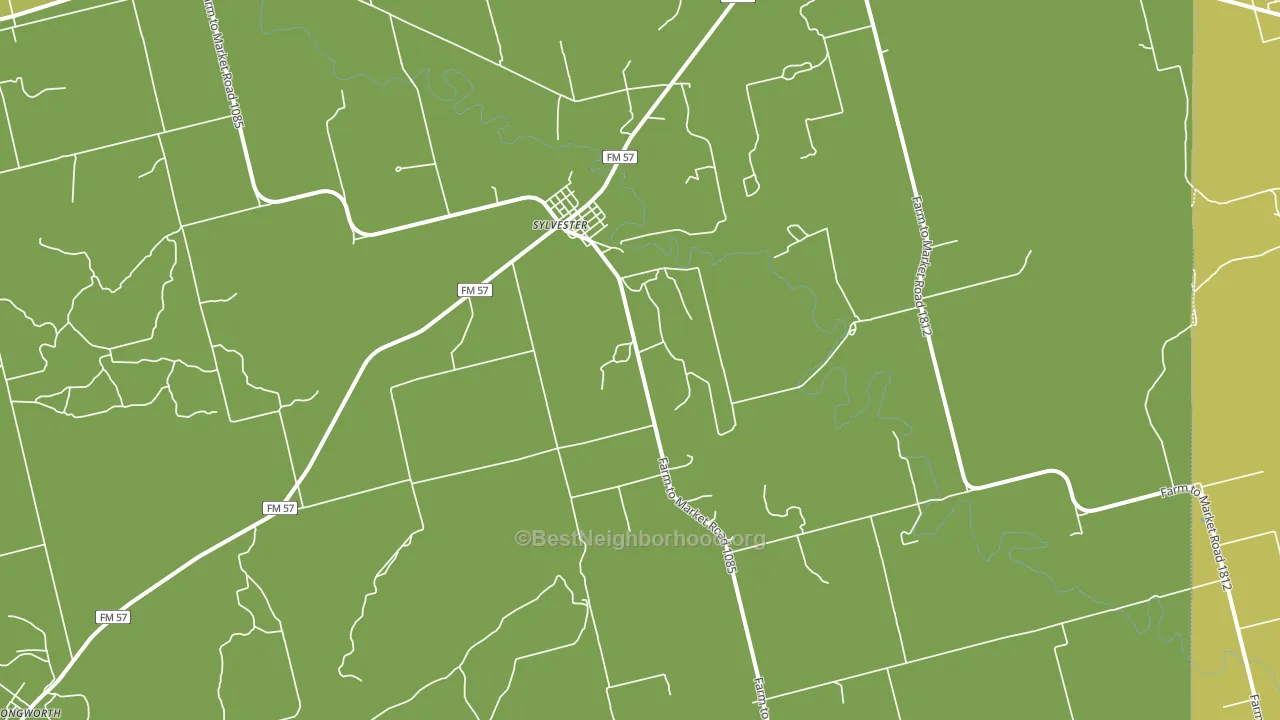 Sylvester, TX block-group voter-turnout map