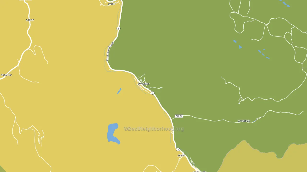Sylvester, WV block-group voter-turnout map