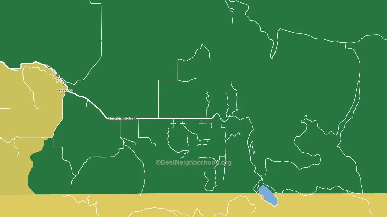 Synarep, WA block-group voter-turnout map