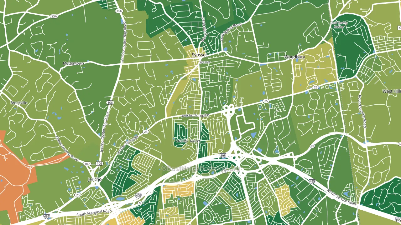 Syosset, NY block-group voter-turnout map