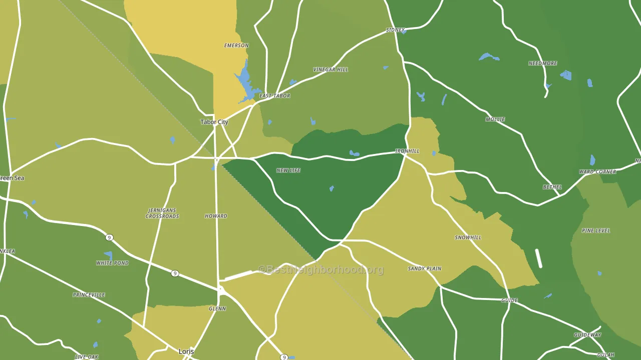 Tabor City, NC block-group voter-turnout map