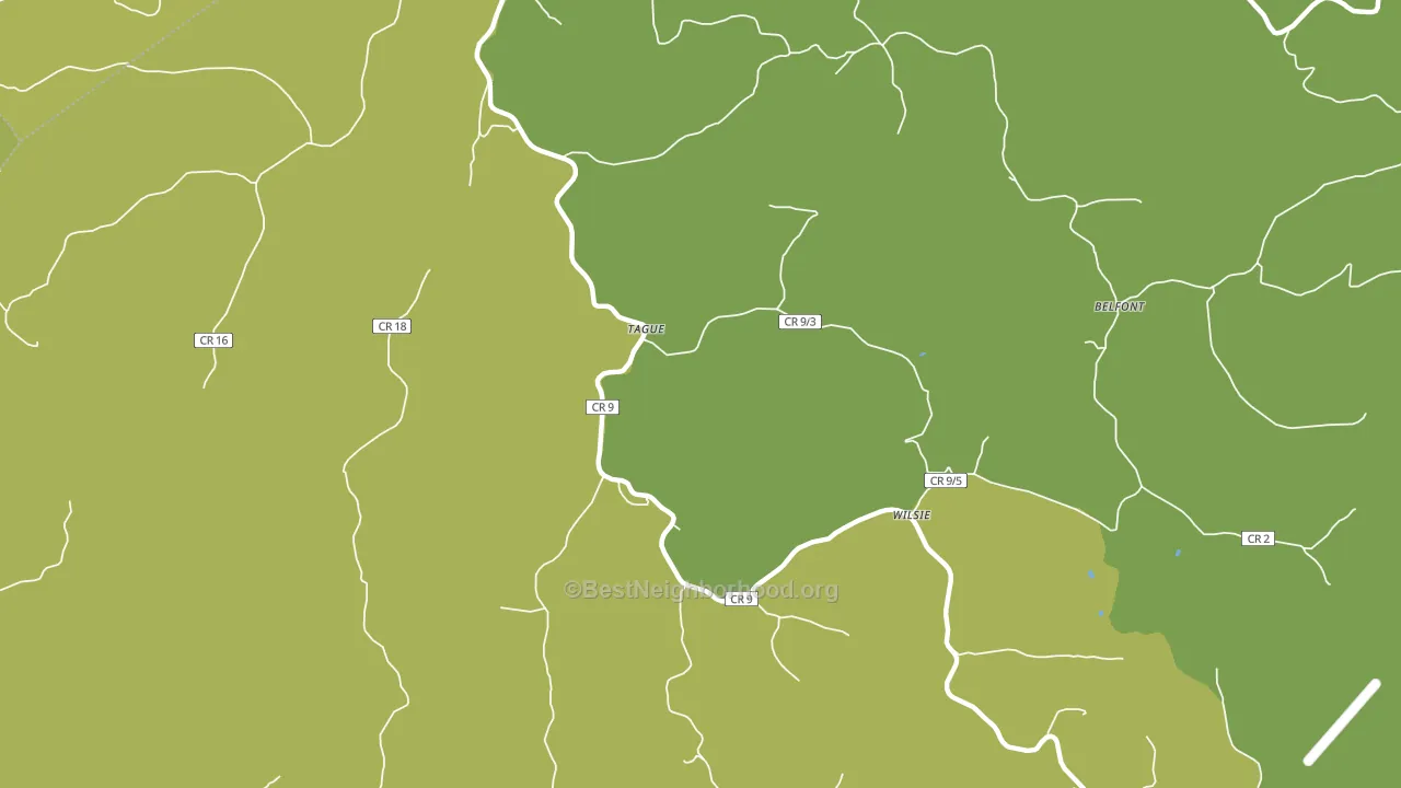 Tague, WV block-group voter-turnout map
