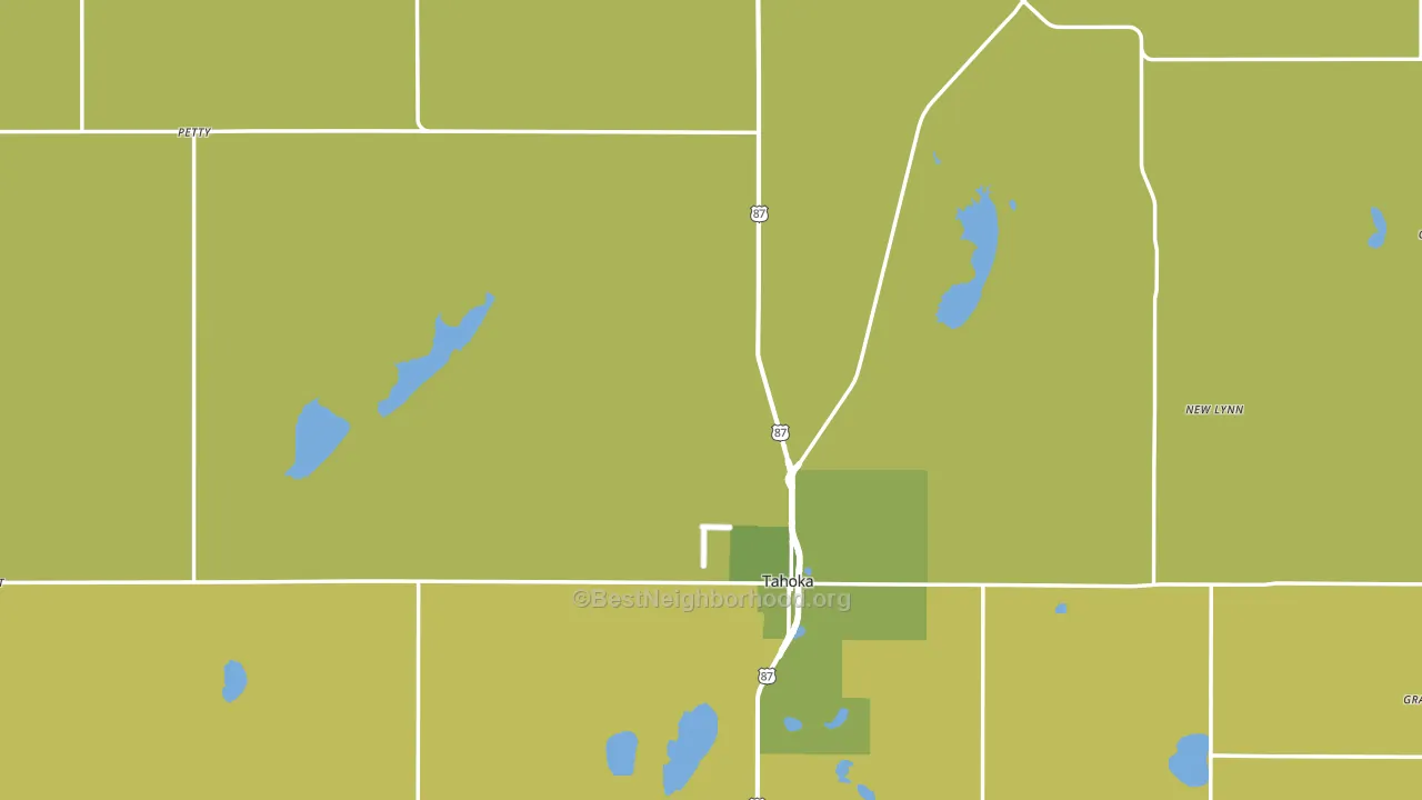 Tahoka, TX block-group voter-turnout map