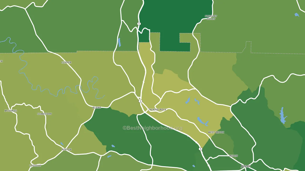 Talking Rock, GA block-group voter-turnout map