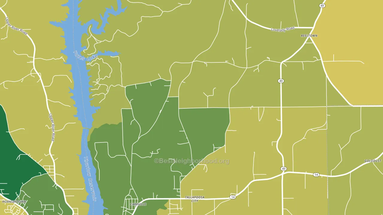 Tallapoosa City, AL block-group voter-turnout map