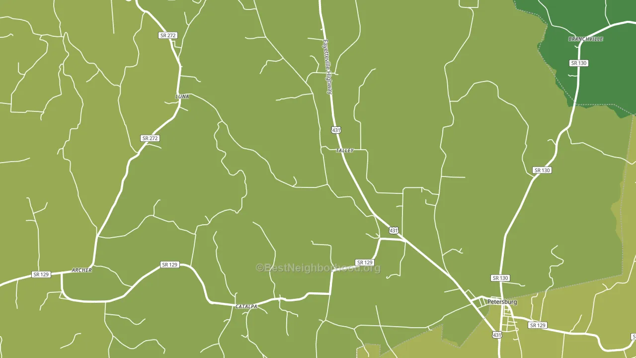 Talley, TN block-group voter-turnout map