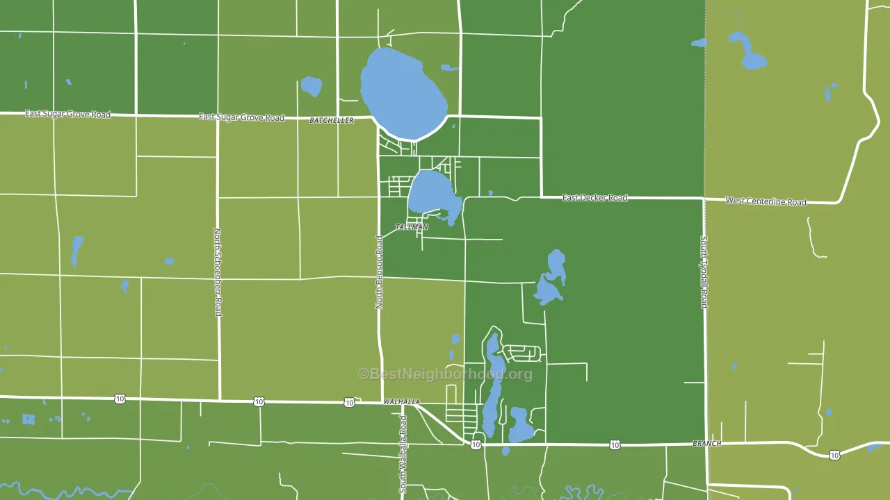 Tallman, MI block-group voter-turnout map