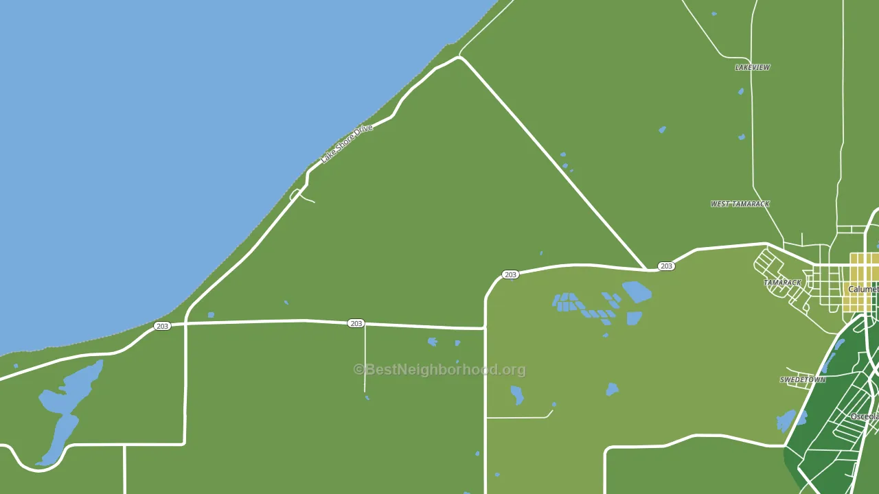 Tamarack, MI block-group voter-turnout map