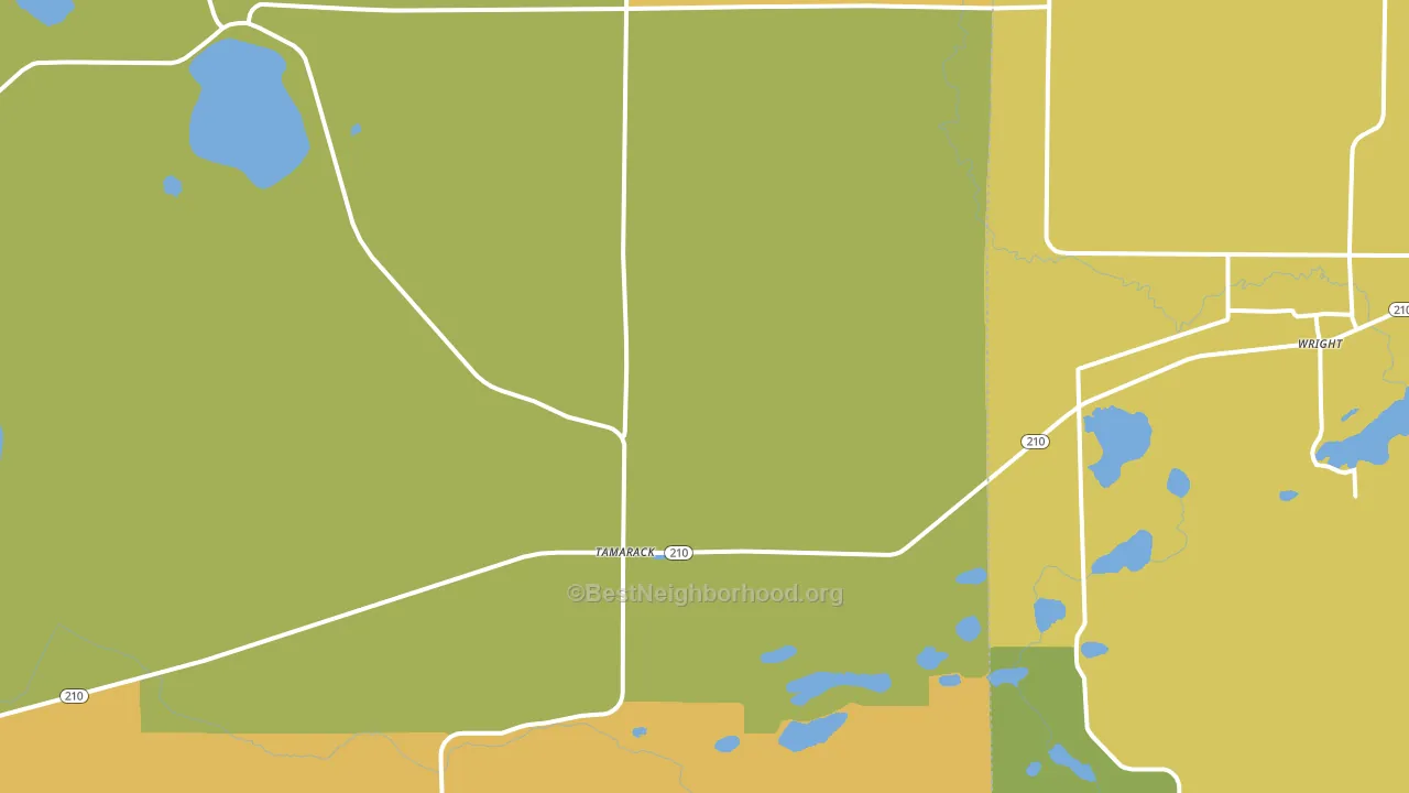 Tamarack, MN block-group voter-turnout map